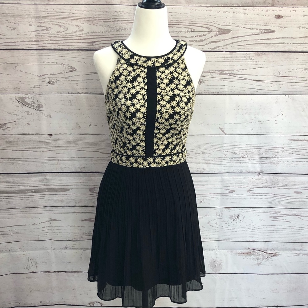 Romeo and Juliet Couture dress